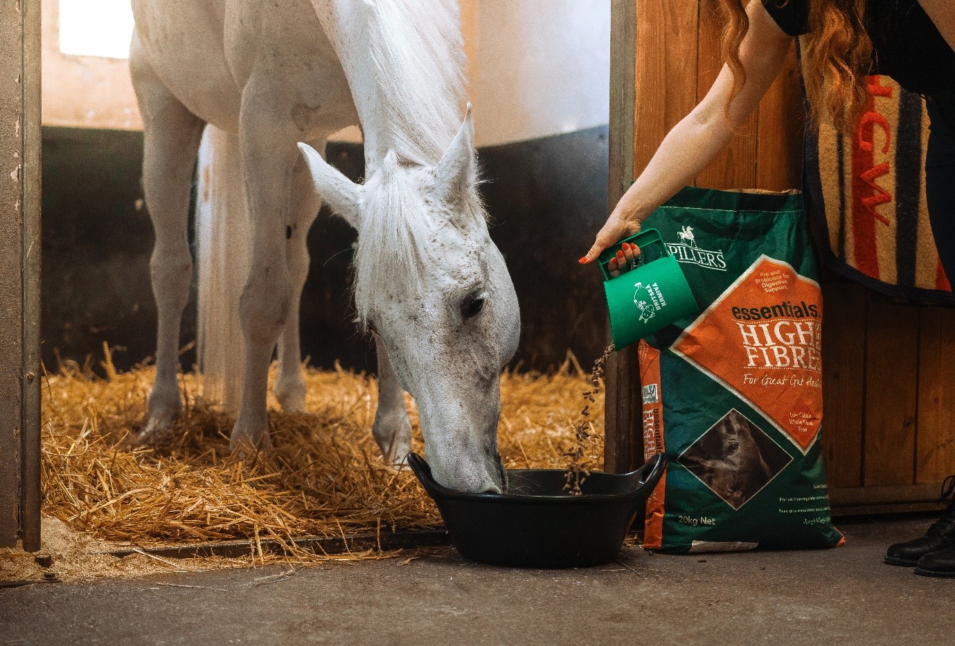 white horse eating high fiber spillers feed