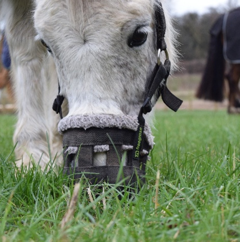 Grazing Muzzles