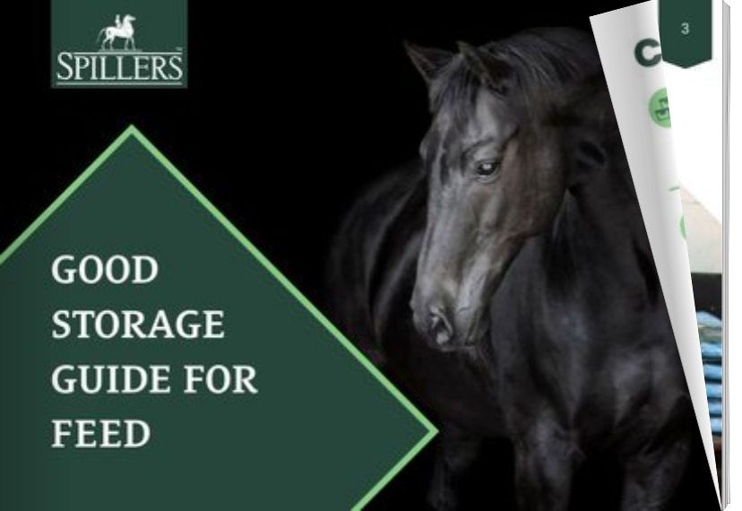 heyzine-flipbook-cover (2).png img