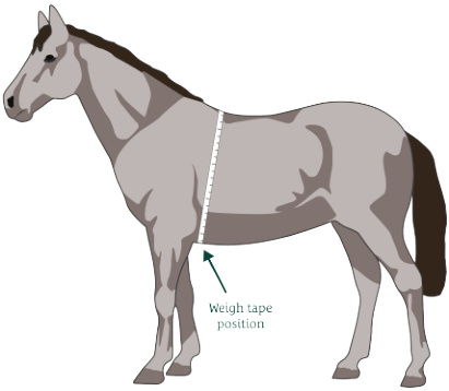 Weight Tape Position