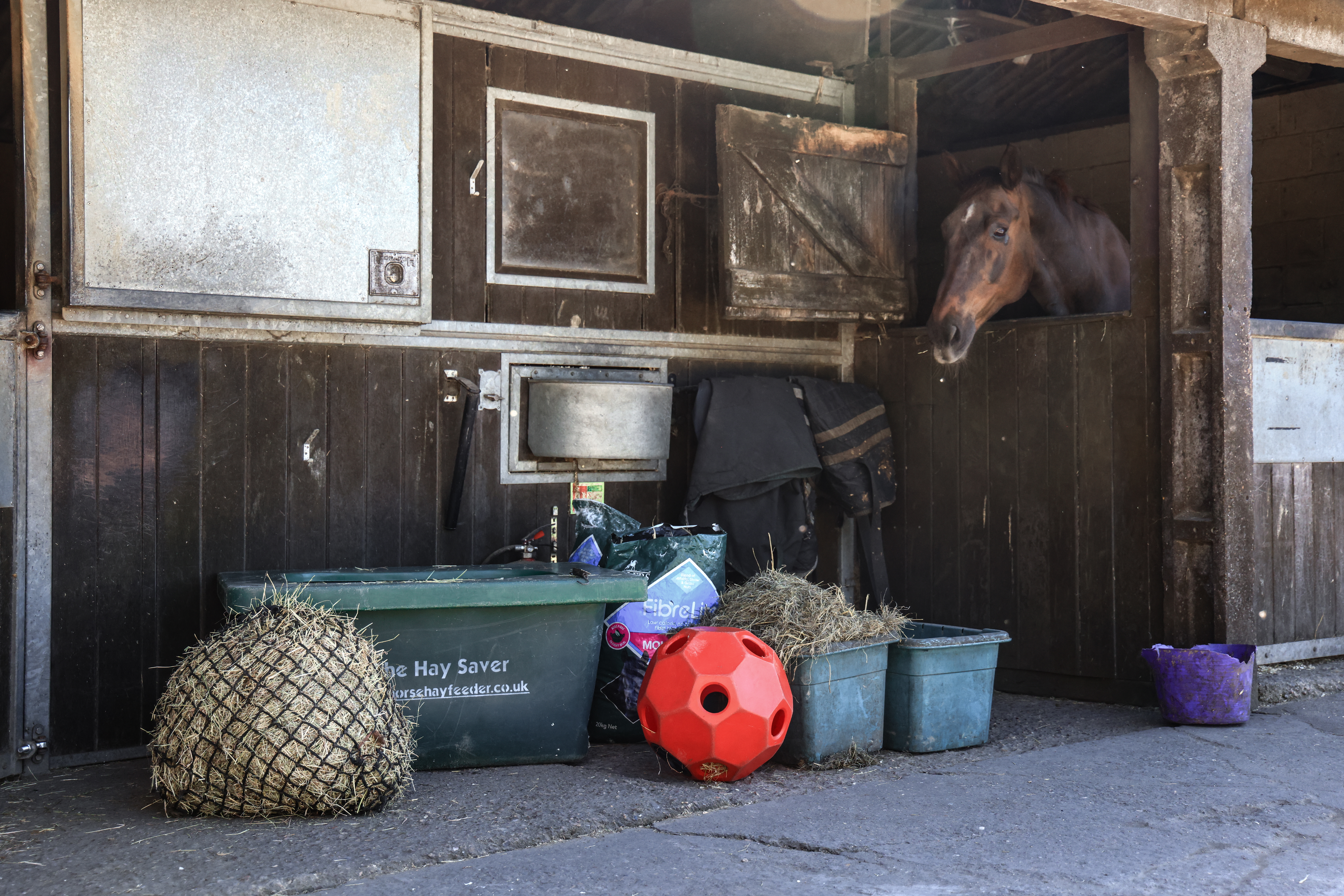 Stable scene with hay net, buckets, enrichment items