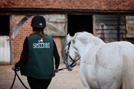 woman walking to stabled with a white horse