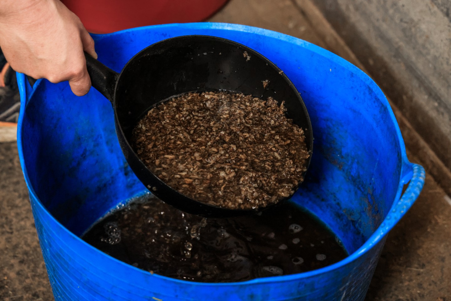 mixing horse feed in a blue bucket