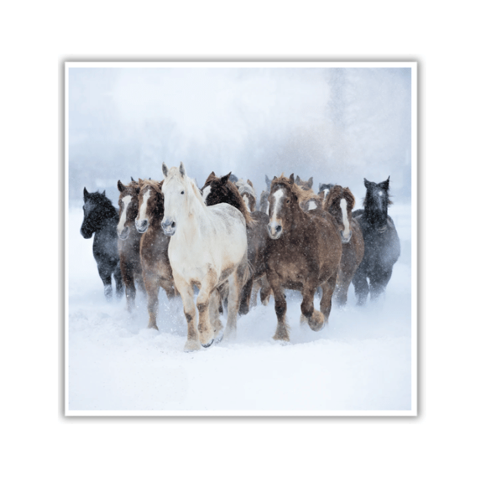 Running with the Herd
