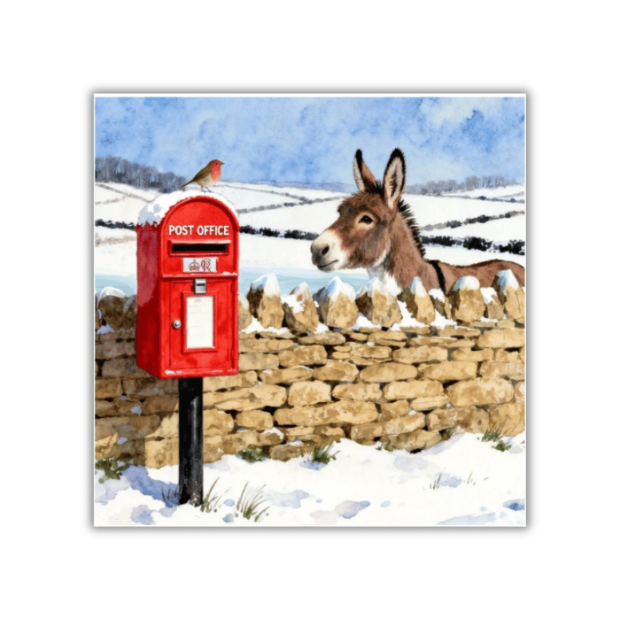donkey sanctuary