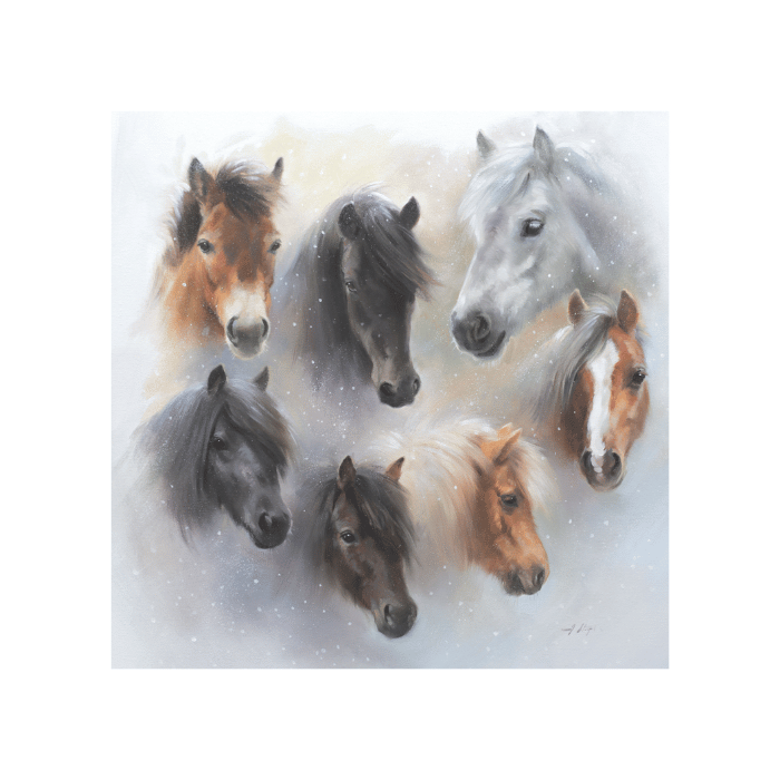 British Native Ponies