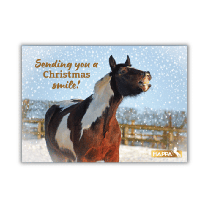 HAPPA Christmas Cards