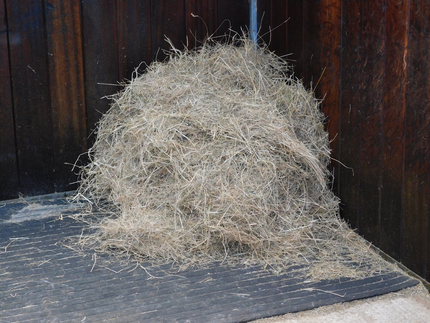 forage