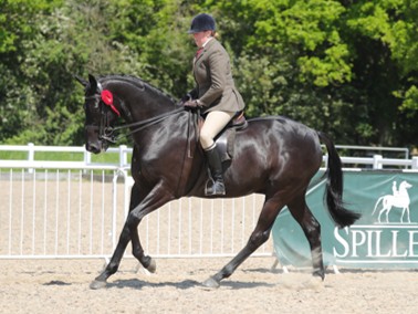 female rider on horse
