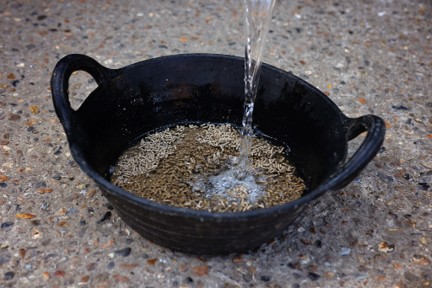 adding water to horse feed